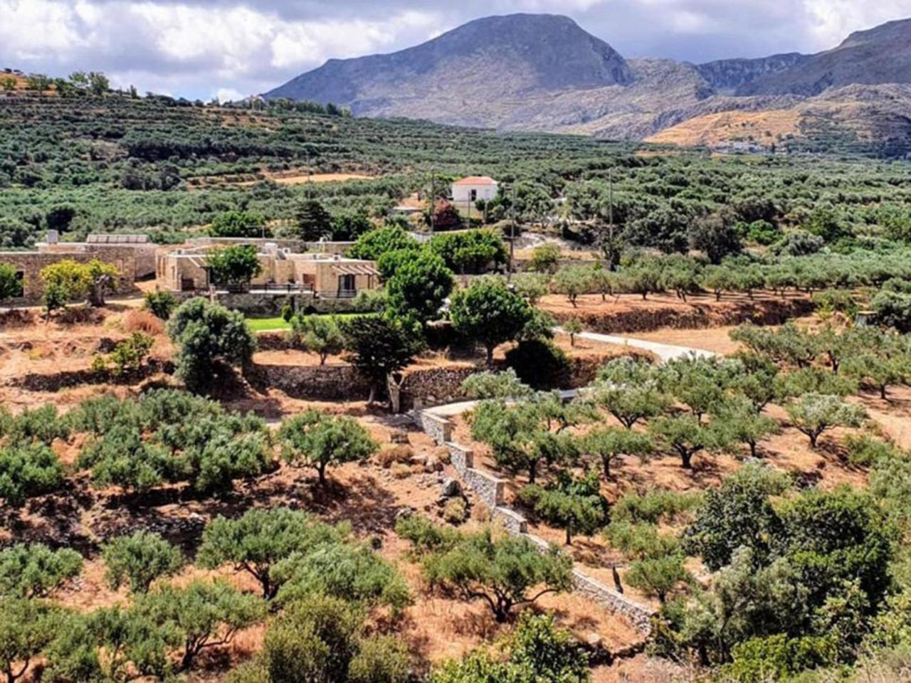 Petrakis Cretan Homes Kissamos Exterior photo