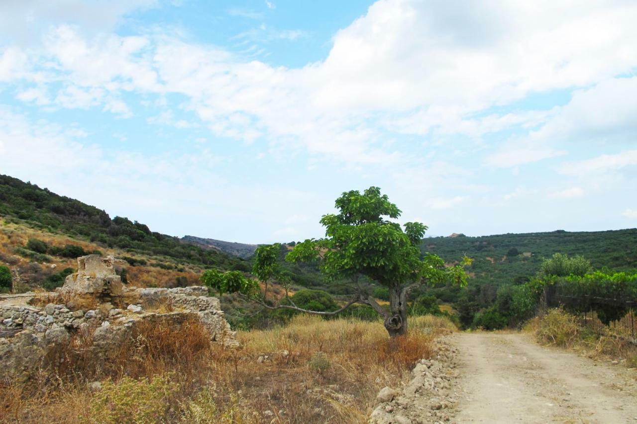 Petrakis Cretan Homes Kissamos Exterior photo