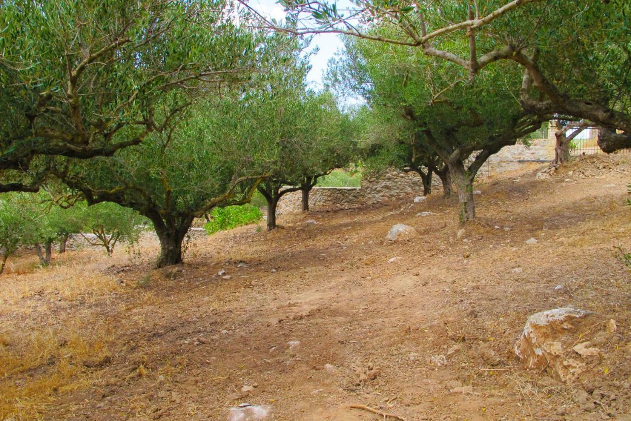 Petrakis Cretan Homes Kissamos Exterior photo
