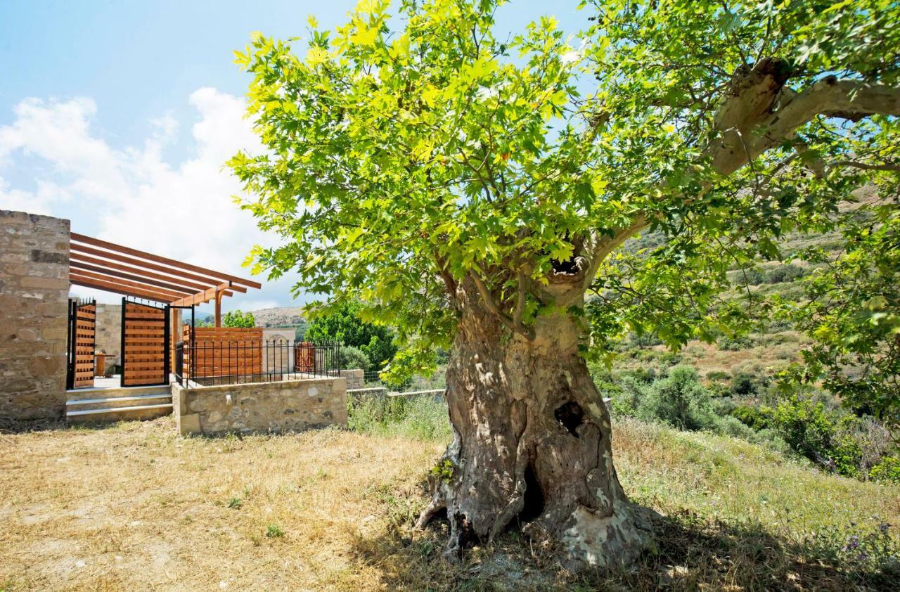 Petrakis Cretan Homes Kissamos Exterior photo